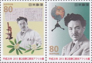 ̎莆