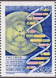 DNA