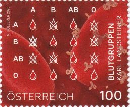 ���t�^����