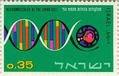tDNA
