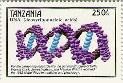 DNA